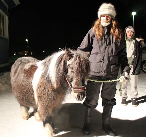 Ridning på den sötaste shetlandsponnyn i hela Norrbotten