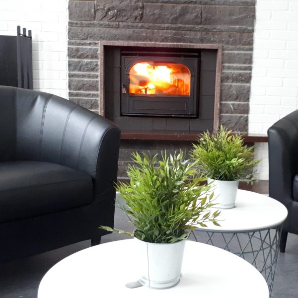 Fåtölj, brasa, bord med krukväxter