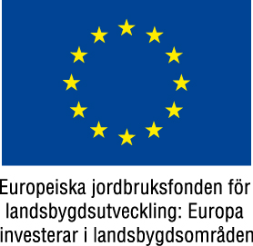 EU-flagga Europeiska jordbruksfonden på Kalix folkgögskola