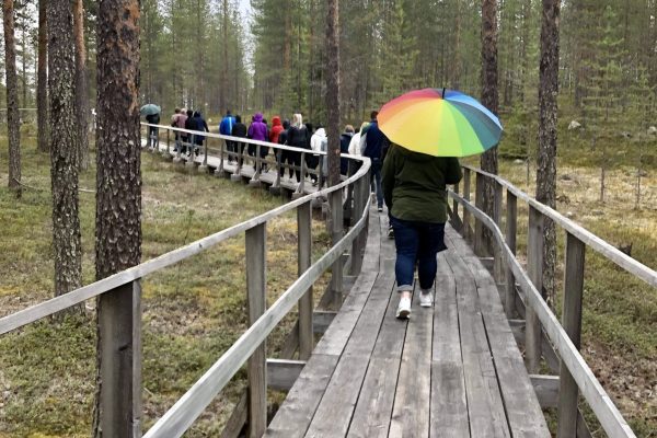 Promenad på spången en mulen dag.